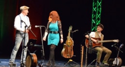 Woodwind and Steel - Irish Folk Band - Band Ed Ann Alex