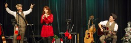 Woodwind & Steel - Irish Folk Band - Full Band Christmas Entertainment